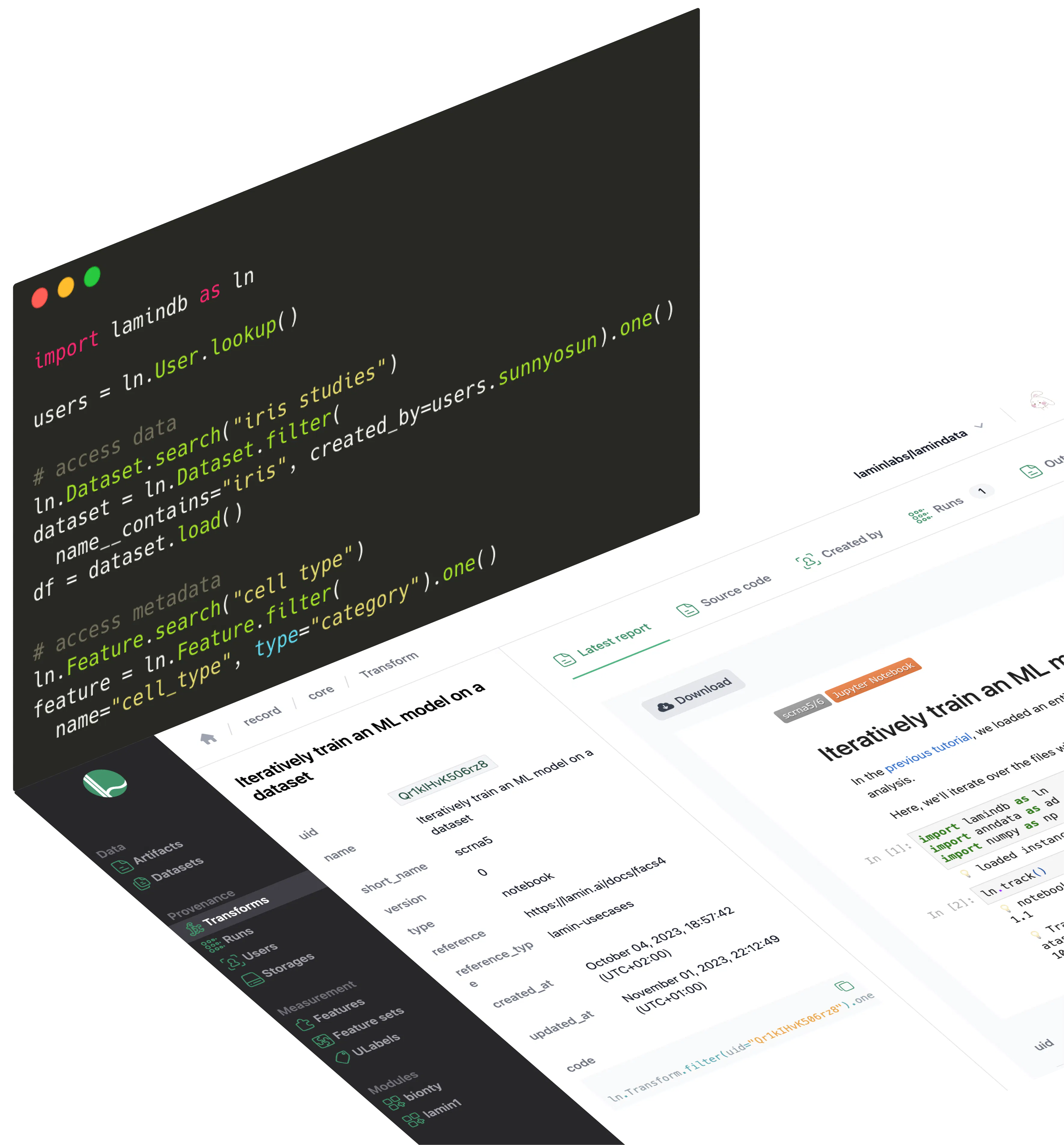 A notebook with a Lamin instance